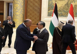بالصور .. خلال لقائه وزير الخارجية الصيني .. شكري: الموقف المصري والعربي يرفض التهجير القسري للفلسطينيين