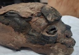 بالصور ..وزارة الخارجية تسلم وزارة السياحة والآثار عدداً من القطع الأثرية المستردة من نيوزيلاندا