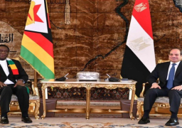 بالصور.. الرئيس السيسي يبحث مع رئيس زيمبابوي سبل تعزيز العمل الأفريقي المشترك