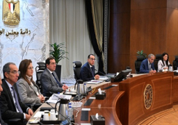 بالصور.. رئيس الوزراء يترأس الاجتماع الأول لوحدة تجمع “البريكس”