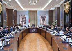 بالصور.. مدبولي يوجه بسرعة الانتهاء من تحديث استراتيجية الطاقة بوجه عام وسرعة اعتماد استراتيجية الهيدروجين الأخضر