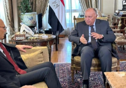 بالصور.. وزير الخارجية يستقبل مفوض الأمم المتحدة السامي لحقوق الإنسان