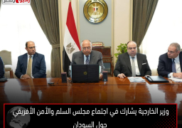 وزير الخارجية يشارك في اجتماع مجلس السلم والأمن الأفريقي حول السودان