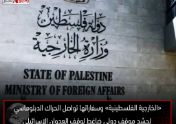 «الخارجية الفلسطينية» وسفاراتها تواصل الحراك الدبلوماسي لحشد موقف دولي ضاغط لوقف العدوان الإسرائيلي