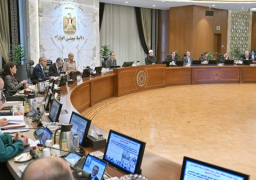 خلال اجتماع الحكومة اليوم.. مدبولي يؤكد ثوابت الموقف المصري لدعم جهود وقف أعمال العنف في غزة