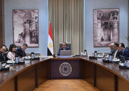رئيس الوزراء يتابع الموقف التنفيذي لمشروع تطوير المنطقة الأثرية بهضبة الأهرامات