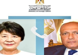 شكرى يؤكد لنظيرته اليابانية رفض مصر القاطع لكافة محاولات تهجير الفلسطينيين داخل قطاع غزة أو خارجه