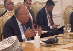 شكري خلال لقاء لافروف: نقدر الدعم الذى قدمته روسيا للقضية الفلسطينية