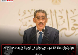 ضياء رشوان: هدنة غزة سرت دون عوائق فى اليوم الأول بعد مدها بجهود مصرية