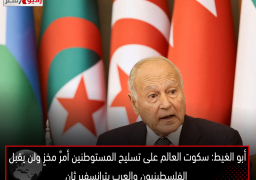 أبو الغيط: سكوت العالم على تسليح المستوطنين أمرٌ مخزٍ ولن يقبل الفلسطينيون والعرب بترانسفير ثانٍ