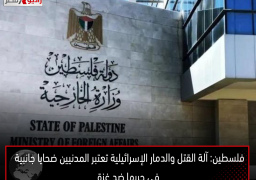 فلسطين: آلة القتل والدمار الإسرائيلية تعتبر المدنيين ضحايا جانبية فى حربها ضد غزة