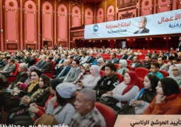 مؤتمرات جماهيرية حزبية لدعم المرشح الرئاسي عبد الفتاح السيسي