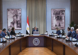 مدبولي يستعرض ملامح دراسة مشروع مُجمع صناعة السيارات بالمنطقة الاقتصادية لقناة السويس