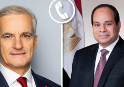 مصر والنرويج تتفقان على ضرورة إيصال المساعدات الإغاثية إلى غزة بشكل فوري واحترام القانون الدولي