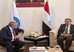 وزير البترول يتابع مع رئيس ترانس جلوب خطط حفر 4 آبار جديدة العام المقبل