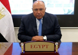 وزير الخارجية يوجه البعثات الدبلوماسية بتيسير مشاركة المصريين في الخارج في الانتخابات الرئاسية