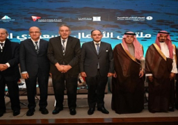وزير الصناعة: نحرص على توفير الدعم للاستثمارات السعودية العاملة بالسوق المصري
