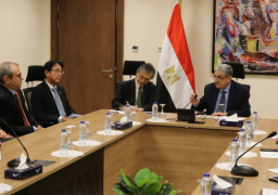 وزير الكهرباء يستقبل سفير اليابان بالقاهرة لبحث سبل دعم وتعزيز التعاون بين البلدين في مجال الطاقة المتجددة والهيدروجين الأخضر