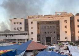 وزيرة الصحة الفلسطينية: الكلاب الضالة تنهش جثامين 100 شهيد في مُحيط مجمع “الشفاء” الطبي