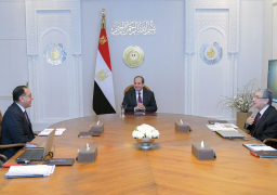 الرئيس السيسي يجتمع برئيس الوزراء لمتابعة تفعيل المشروع القومي للإنتاج الزراعي “مستقبل مصر”