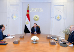 الرئيس السيسي يجتمع مع رئيس الوزراء ووزير الإسكان لمتابعة مشروعات المدن الجديدة في مختلف مناطق البلاد