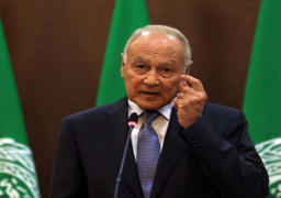 أبو الغيط: لا يمكن تصفية القضية الفلسطينية ومن يقف ضد وقف إطلاق النار يحمل على يديه دماء الأبرياء