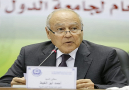 أبو الغيط يهنئ الرئيس السيسي على فوزه بفترة رئاسية جديدة