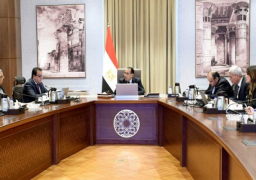 بالصور.. رئيس الوزراء يتابع موقف توطين الصناعات الطبية