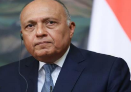 سامح شكري يستقبل اليوم وزير خارجية بريطانيا