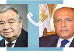 شكري وجوتيريش يبحثان التحركات الدبلوماسية لوقف إطلاق النار في غزة