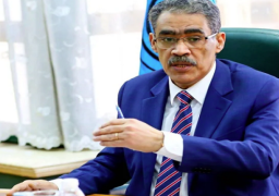 ضياء رشوان: الانتخابات الرئاسية مرحلة مهمة وفارقة في تاريخ مصر السياسي