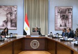 مدبولي: الدولة تدعم مشروعات المدارس الفنية والجامعات التكنولوجية نظرا لأهميتها