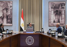 مدبولي يؤكد أهمية جهود الأذرع الصناعية لـ”العربية للتصنيع” في تعميق التصنيع المحلي وتوفير مكونات المشروعات القومية