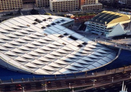 مكتبة الأسكندرية تصدر كتاب «حجر رشيد: استعادة لغة قدماء المصريين» باللغة الفرنسية