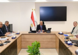 وزير الري: تنفيذ أعمال صيانة لمغذيات بحيرة المنزلة لضمان استمرار تجدد المياه بالبحيرة