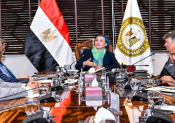 وزيرة البيئة تعقد اجتماعا مع ممثلى “البترول والكهرباء” لتشجيع الاستثمارات بمجال تحويل المخلفات إلى طاقة