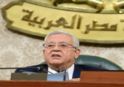 مجلس النواب يرفض مزاعم إسرائيل ضد مصر أمام محكمة العدل الدولية