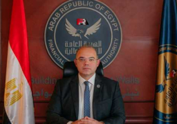 الرقابة المالية تحدد إجراءات تأسيس وترخيص شركات ناشئة لأنشطة التمويل غير المصرفي