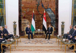 السيسي وعباس يبحثان جهود وقف إطلاق النار في غزة ويؤكدان رفض أي محاولات لتصفية القضية الفلسطينية