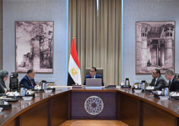 بالصور.. رئيس الوزراء يؤكد أهمية تحفيز الاستثمار لتوطين تكنولوجيا تصنيع الرقائق الإلكترونية بمصر