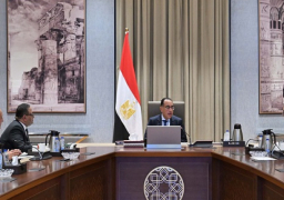 بالصور.. رئيس الوزراء يتابع عددا من ملفات عمل الهيئة العامة للاستثمار