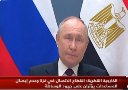 بالفيديو ..بوتين: مصر شريك استراتيجي لروسيا والعلاقات مبنية على المساواة والاحترام المتبادل