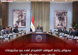 مدبولي يتابع الموقف التنفيذي لعدد من مشروعات التطوير في محافظة الجيزة