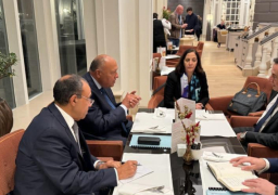 خلال زيارته لسامح شكري ..رئيس الشئون الخارجية بالبرلمان الأوروبي يثمن دور مصر في حل الأزمة الكارثية الراهنة في غزة