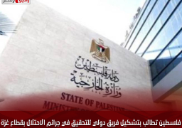 فلسطين تطالب بتشكيل فريق دولي للتحقيق في جرائم الاحتلال بقطاع غزة