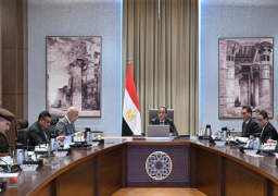 مجلس الوزراء: الموافقة على تقنين أوضاع 187 كنيسة ومبنى تابعاً