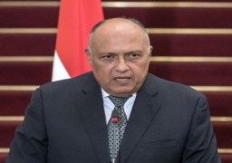 مسؤول أوروبي: نشهد عصرا ذهبيا في العلاقات مع مصر