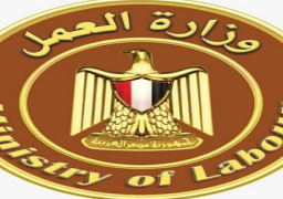 وزارة العمل: قرار تطبيق الحد الأدنى لأجور القطاع الخاص جاء تنفيذا لتوجيهات الرئيس السيسي