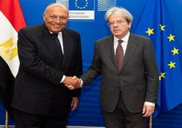وزير الخارجية سامح شكري يلتقي بمفوض الاتحاد الأوروبي للشئون الاقتصادية
