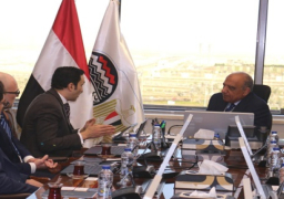 وزير قطاع الأعمال يبحث مع “سكاتك” النرويجية إنشاء محطة كهرباء بالطاقة الشمسية بنجع حمادي